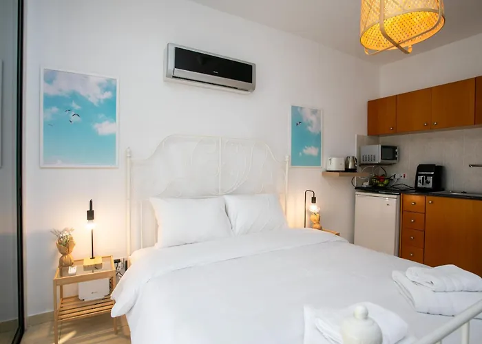 Palmove Makenzy Ria Daire